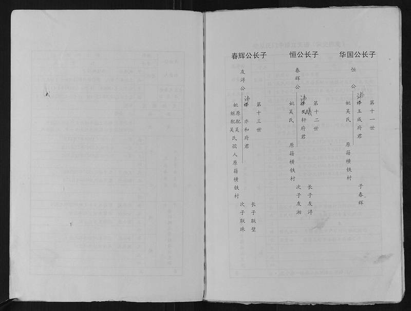 族谱预览