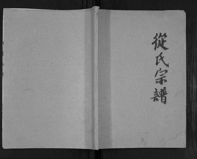 族谱预览
