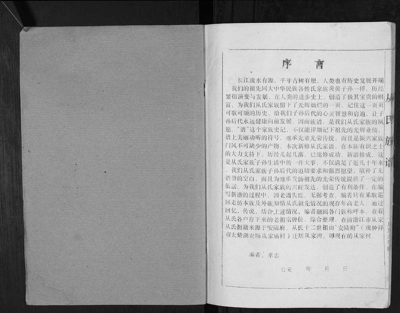 族谱预览