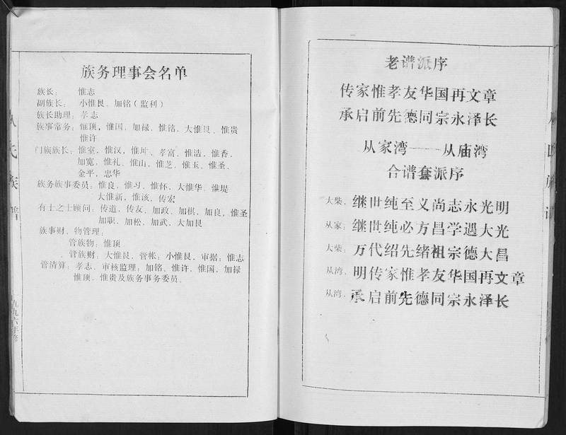 族谱预览