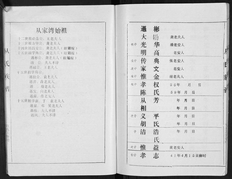 族谱预览