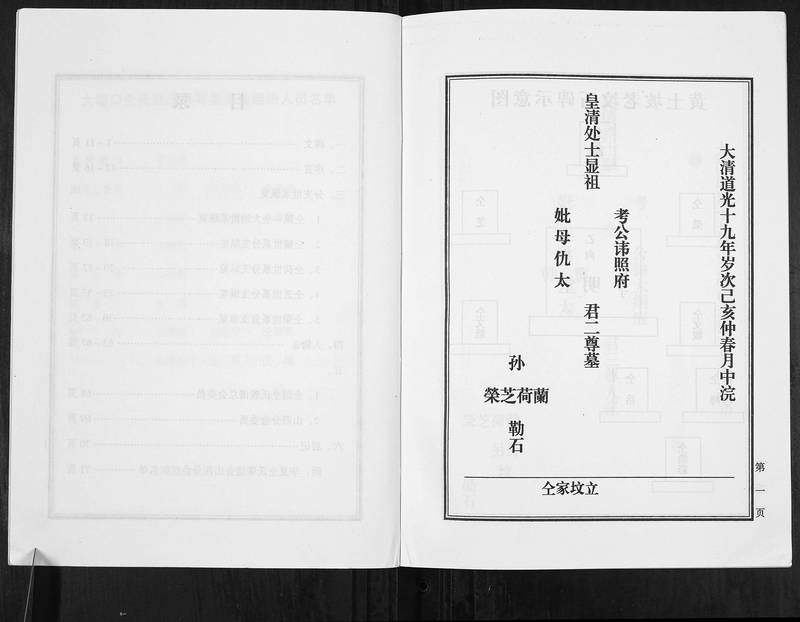 族谱预览