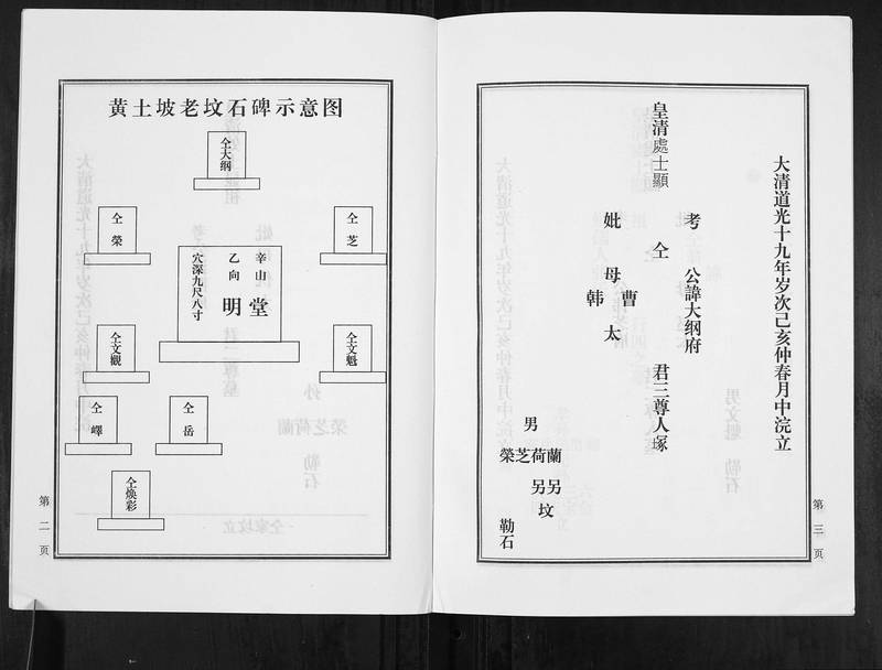 族谱预览