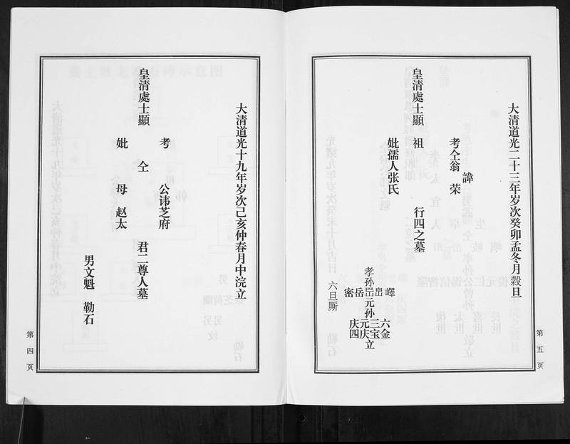 族谱预览