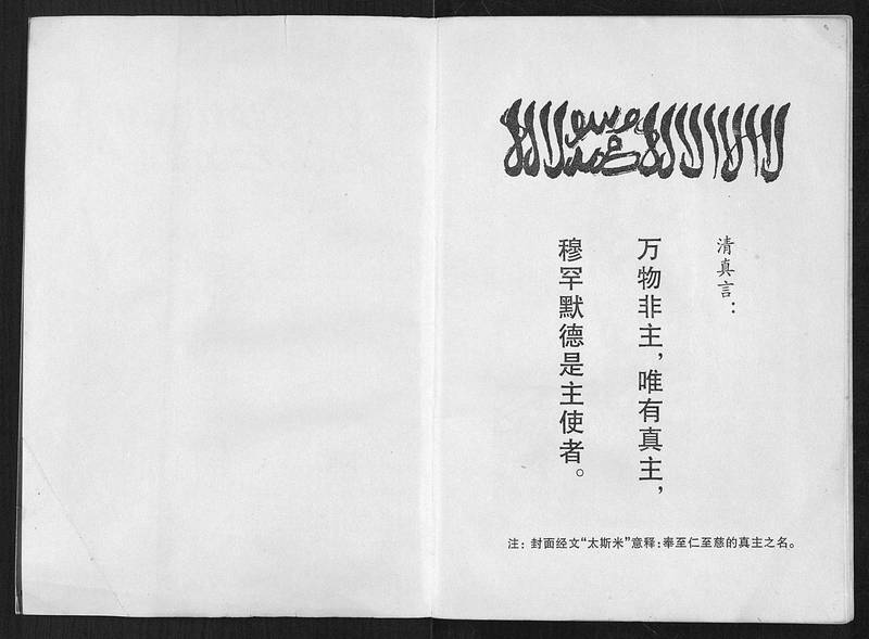 族谱预览