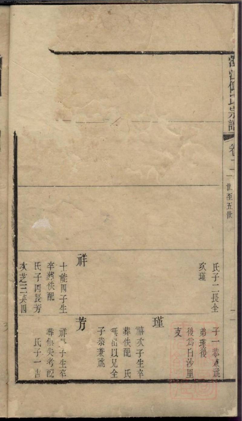 族谱预览