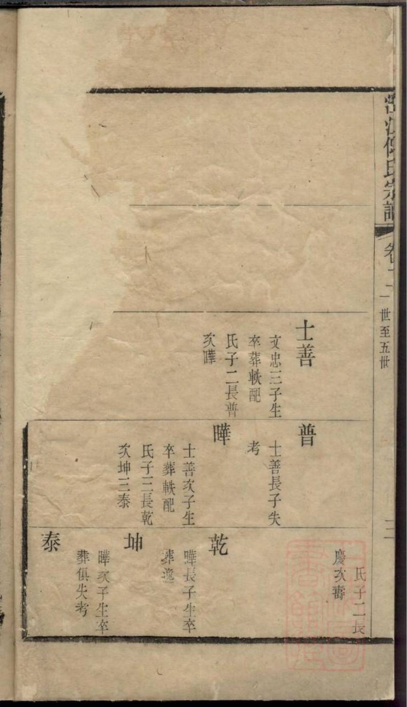 族谱预览