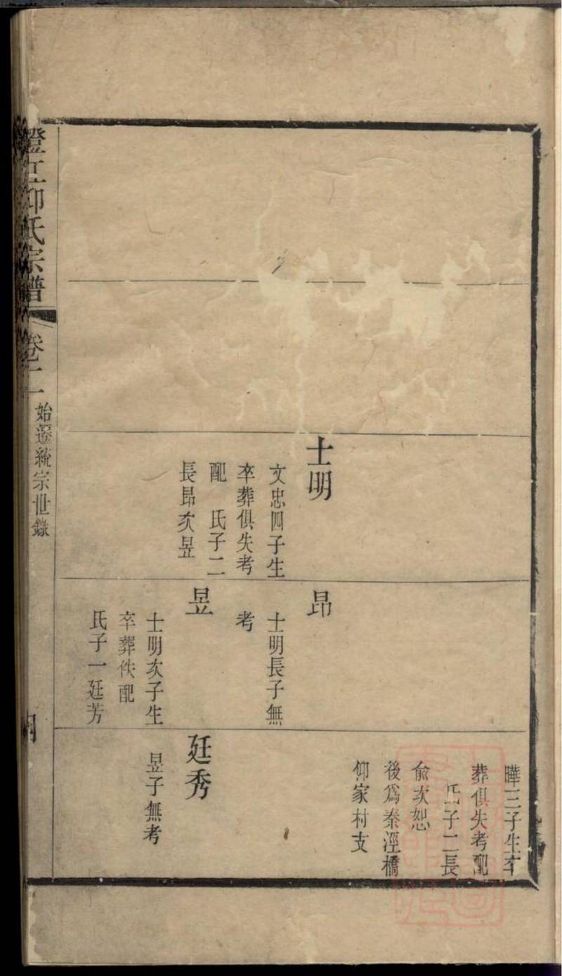 族谱预览