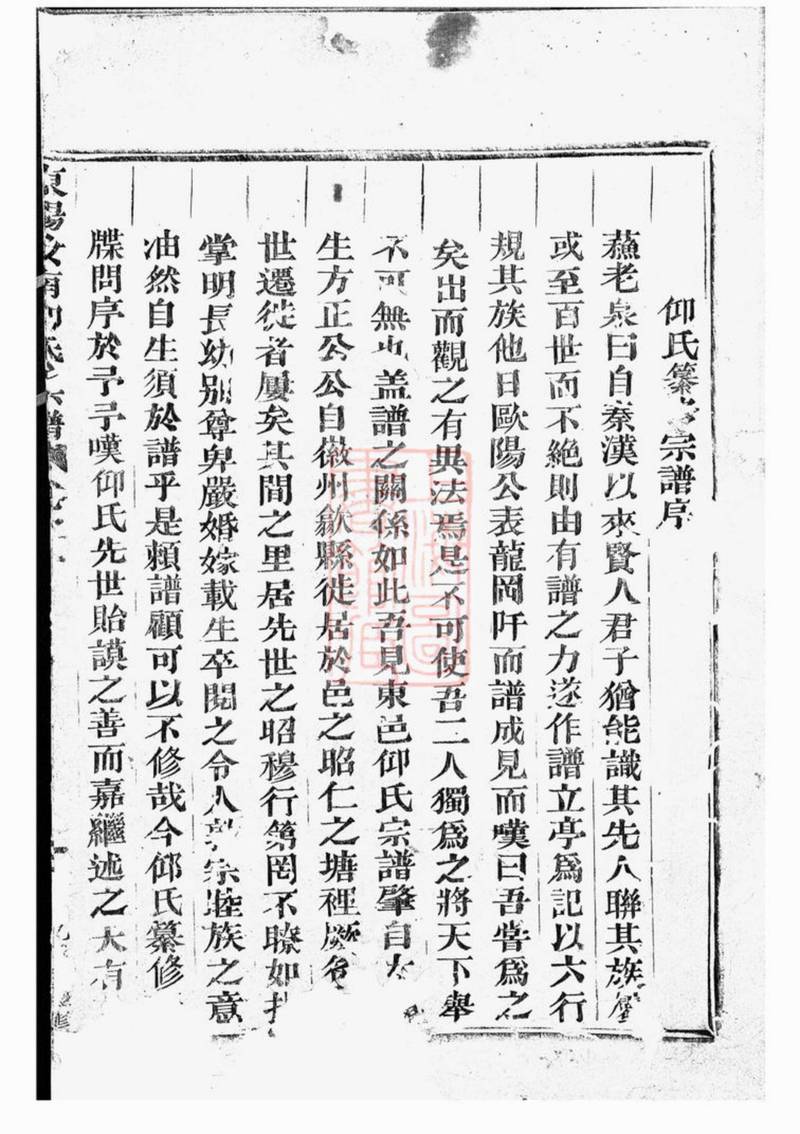 族谱预览