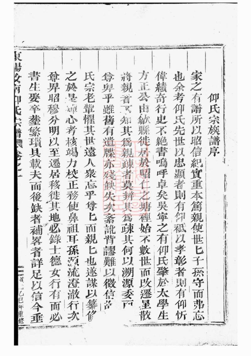 族谱预览