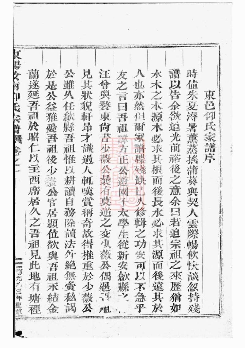 族谱预览