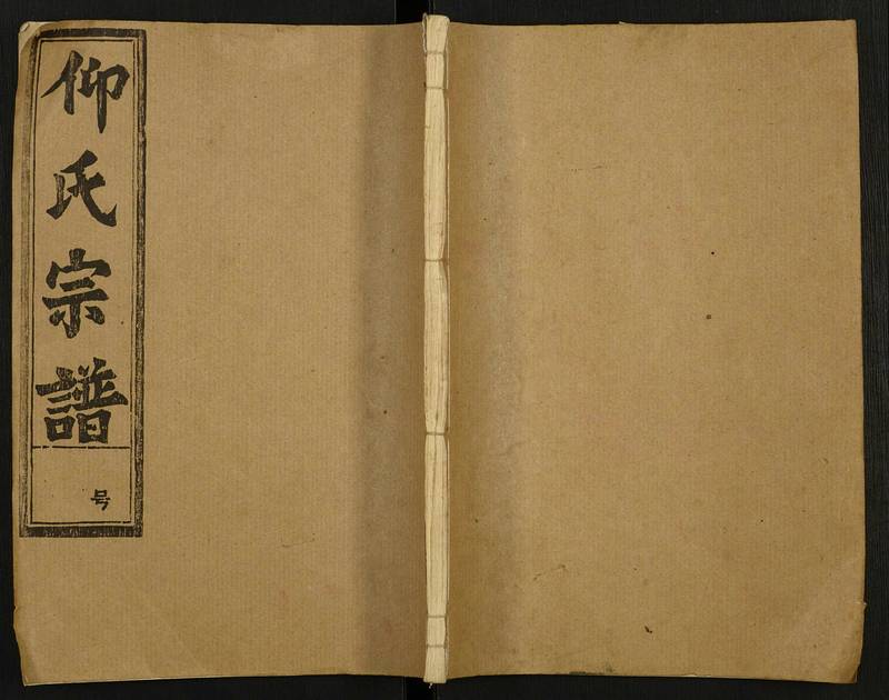 族谱预览