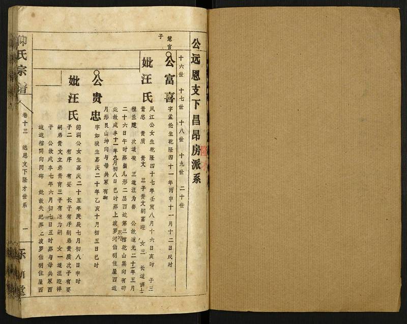 族谱预览