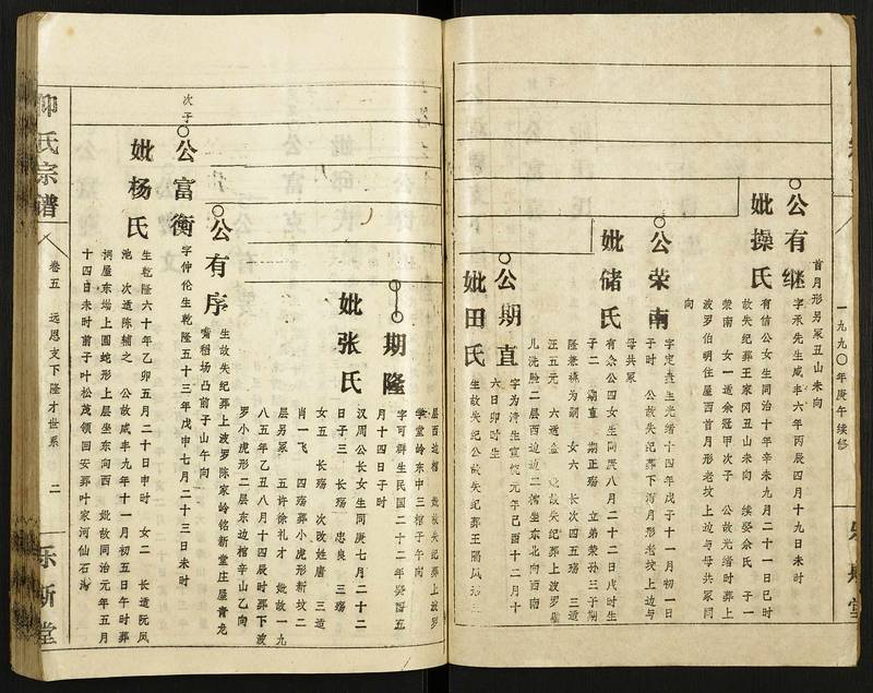 族谱预览