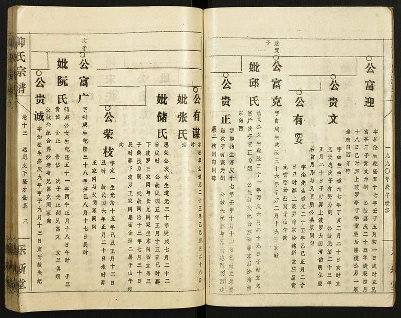 族谱预览