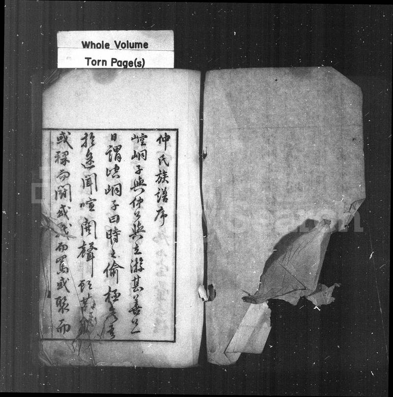 族谱预览
