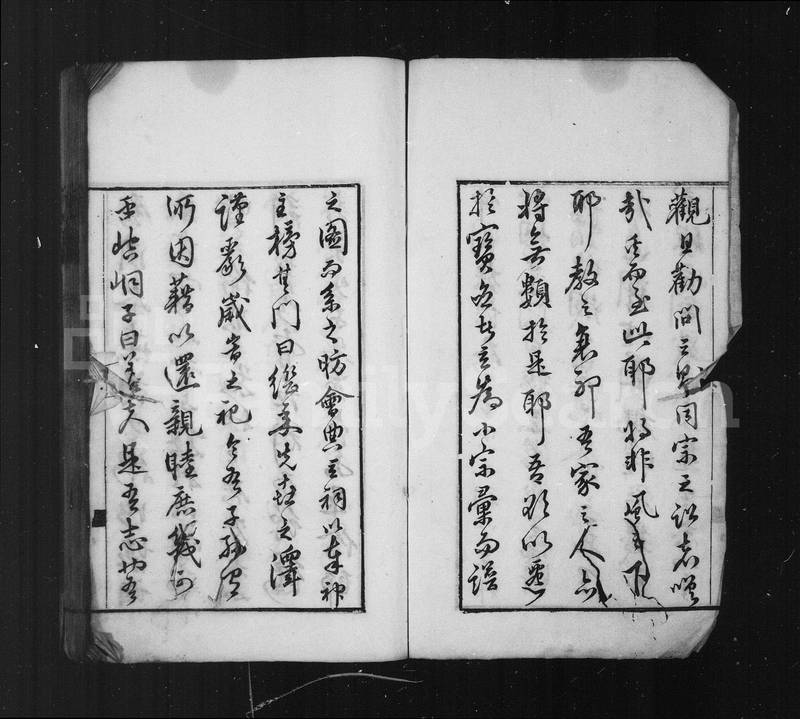 族谱预览