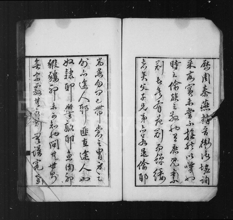 族谱预览