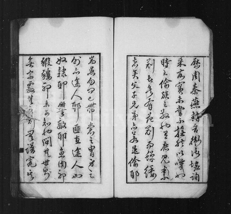 族谱预览