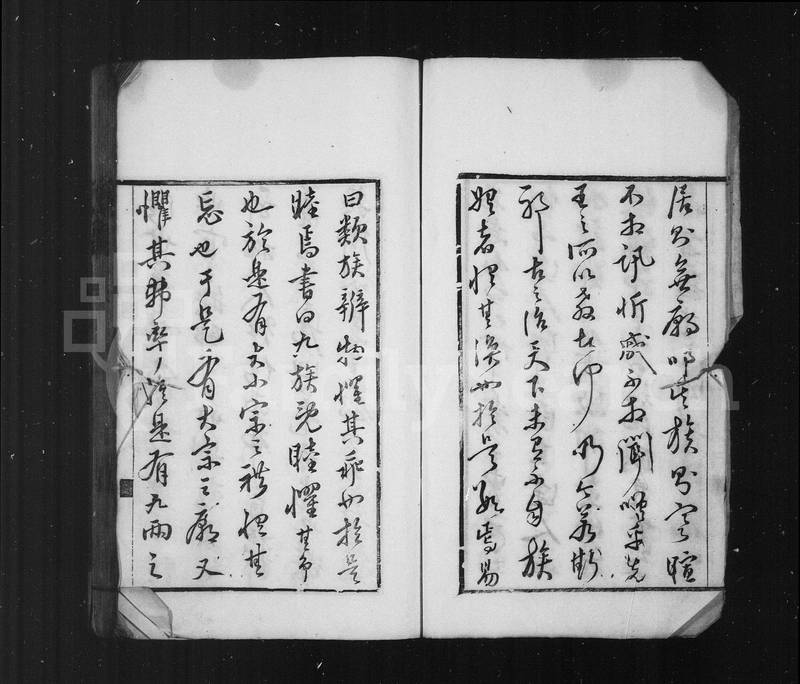 族谱预览