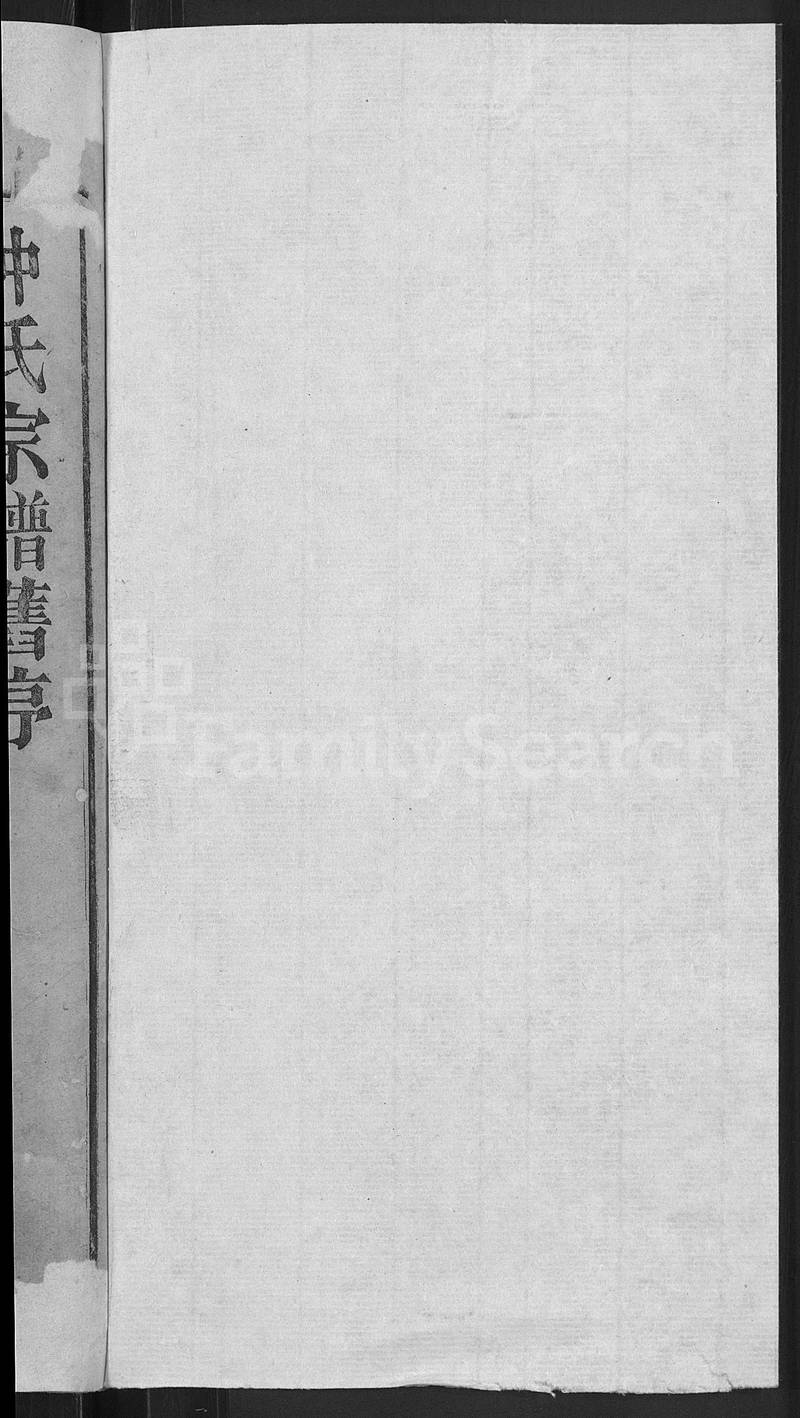 族谱预览