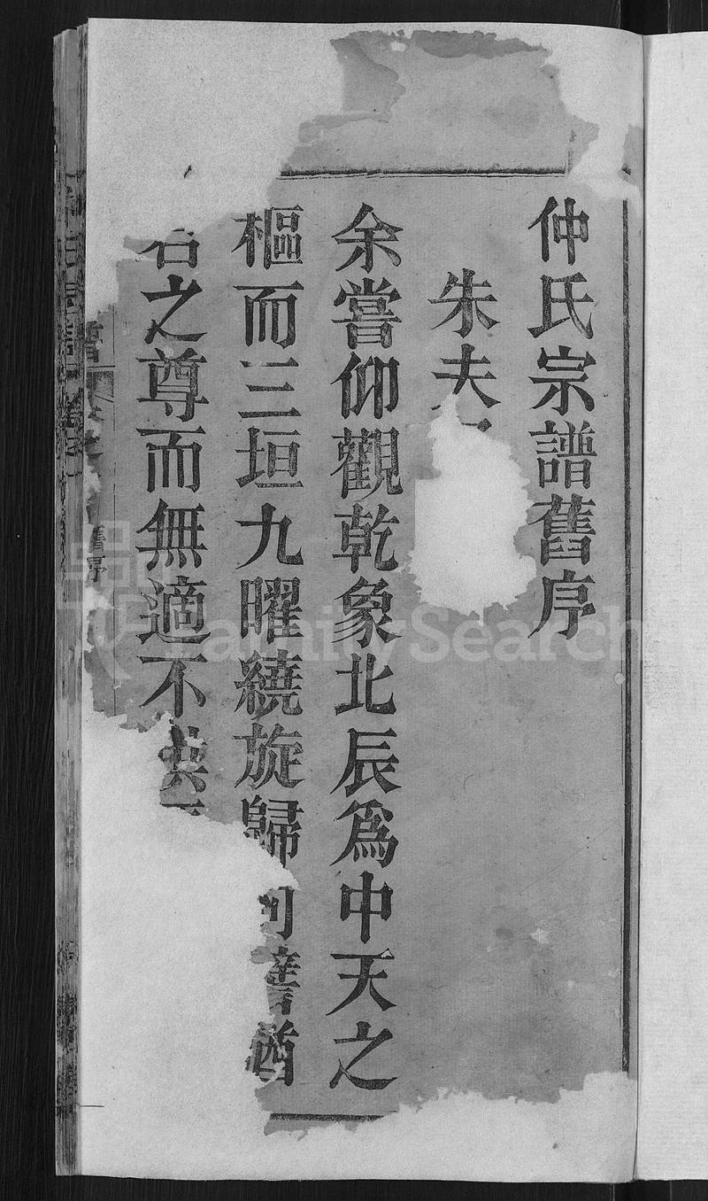 族谱预览