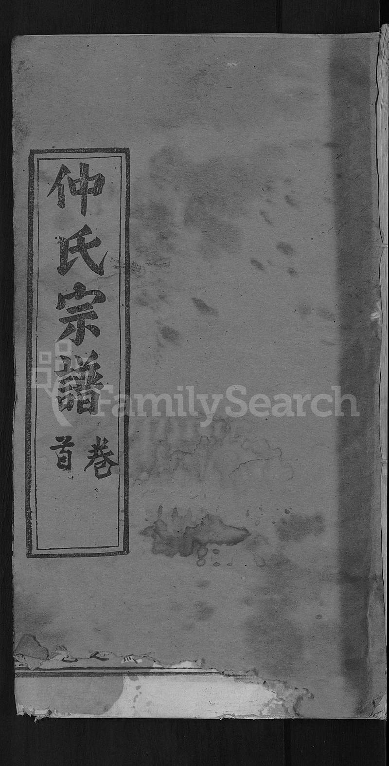 族谱预览