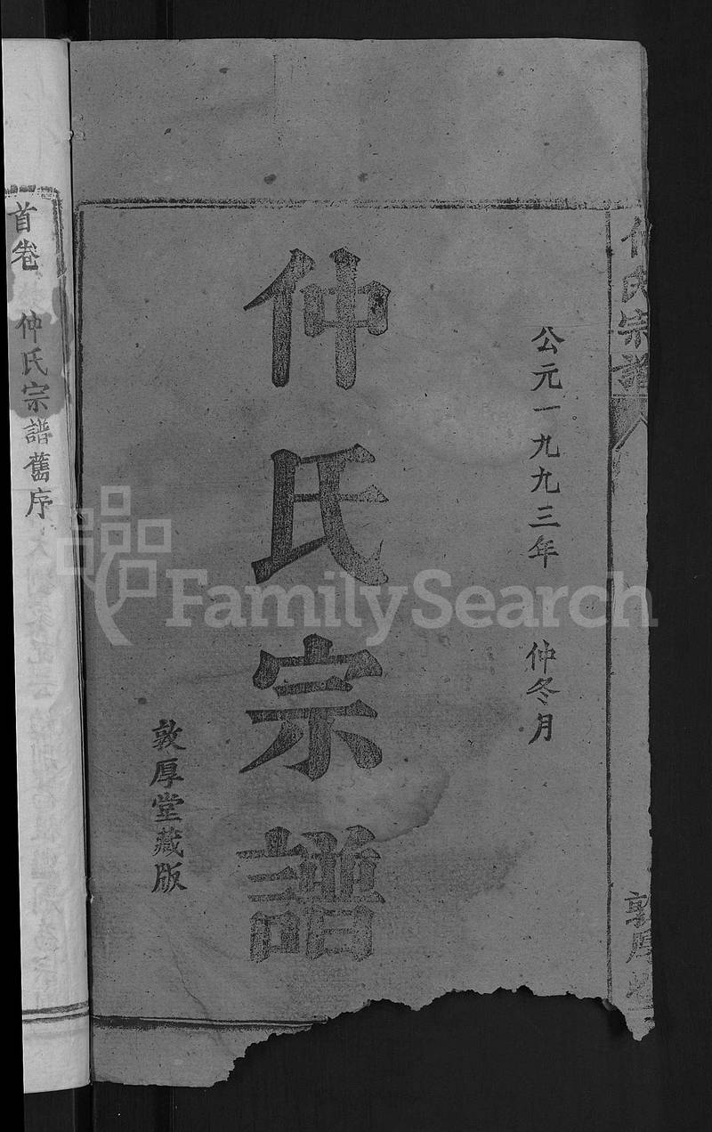 族谱预览