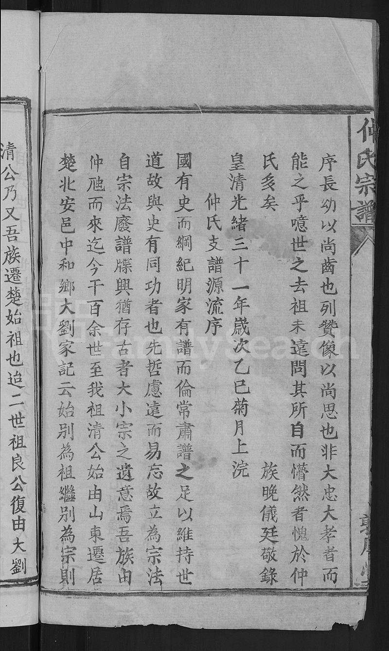 族谱预览