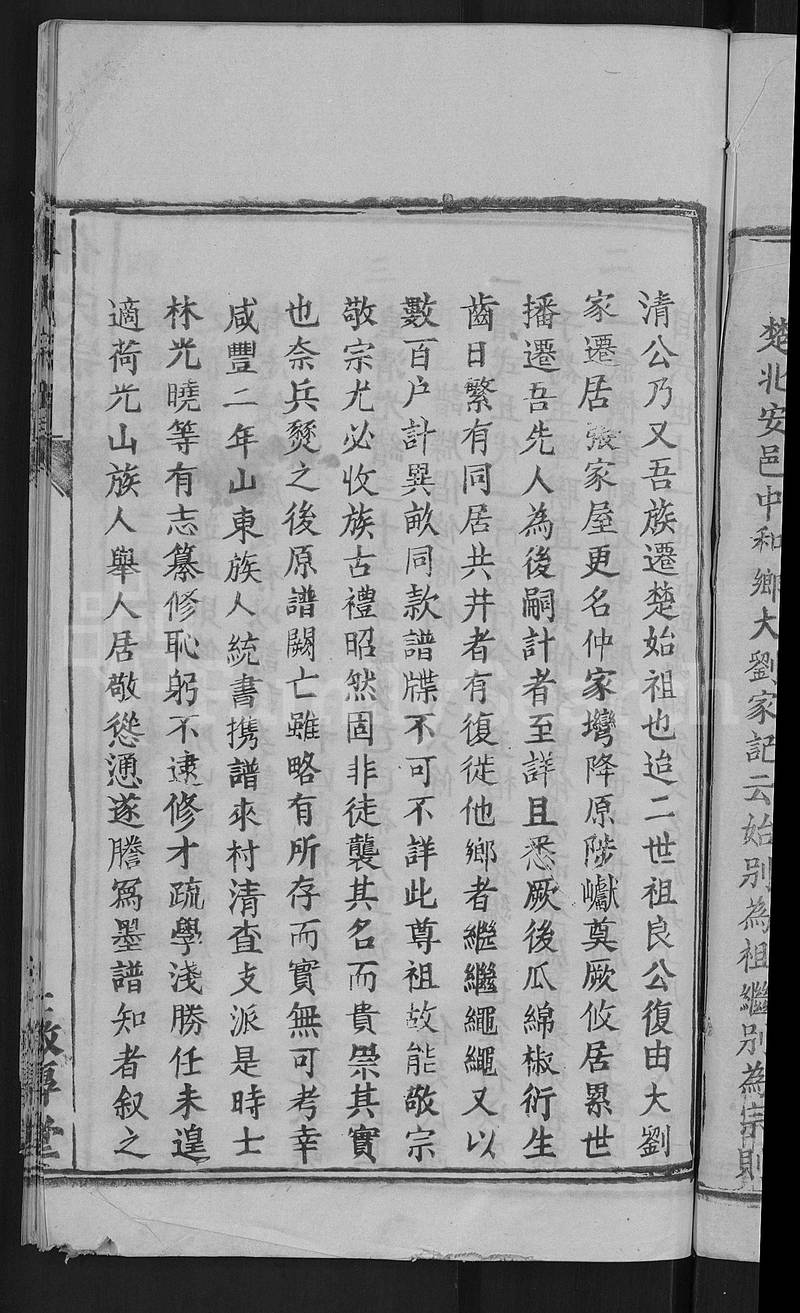 族谱预览