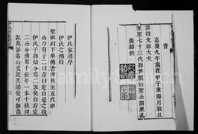族谱预览