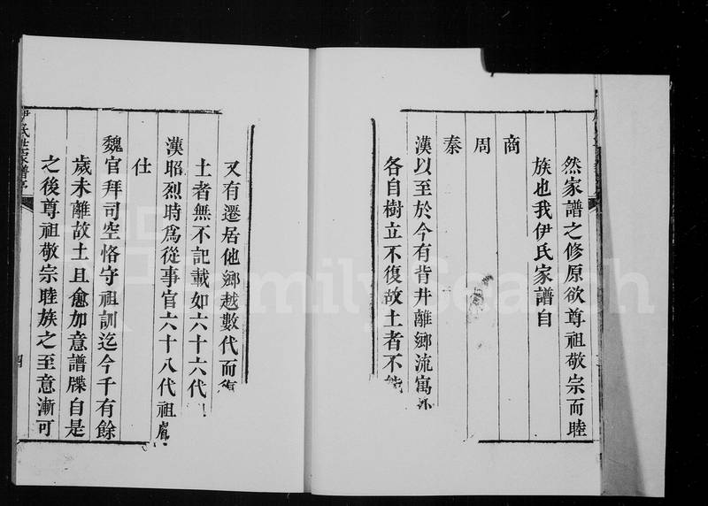族谱预览