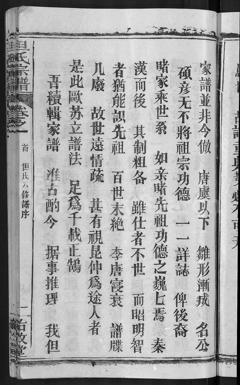 族谱预览