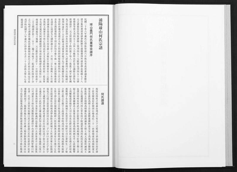 族谱预览