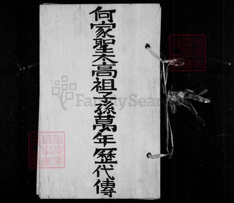 族谱预览