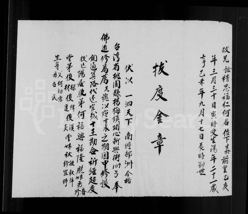 族谱预览