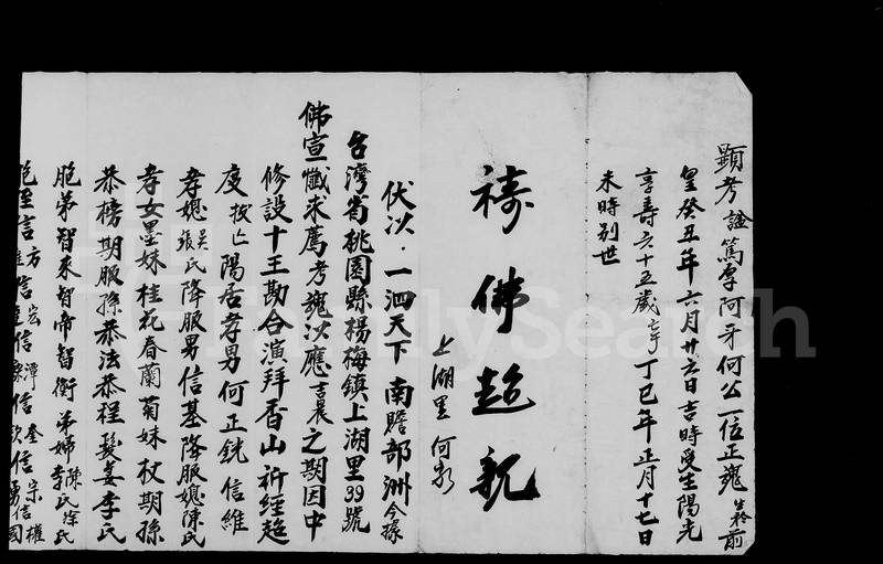 族谱预览