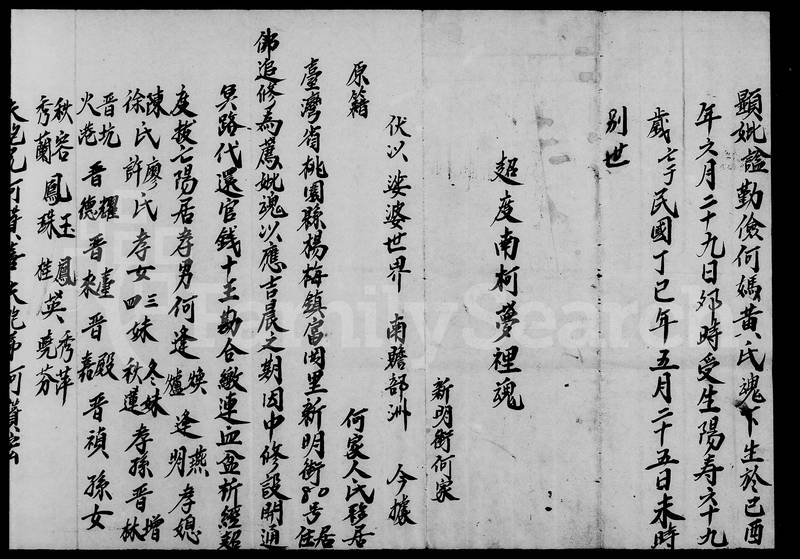 族谱预览