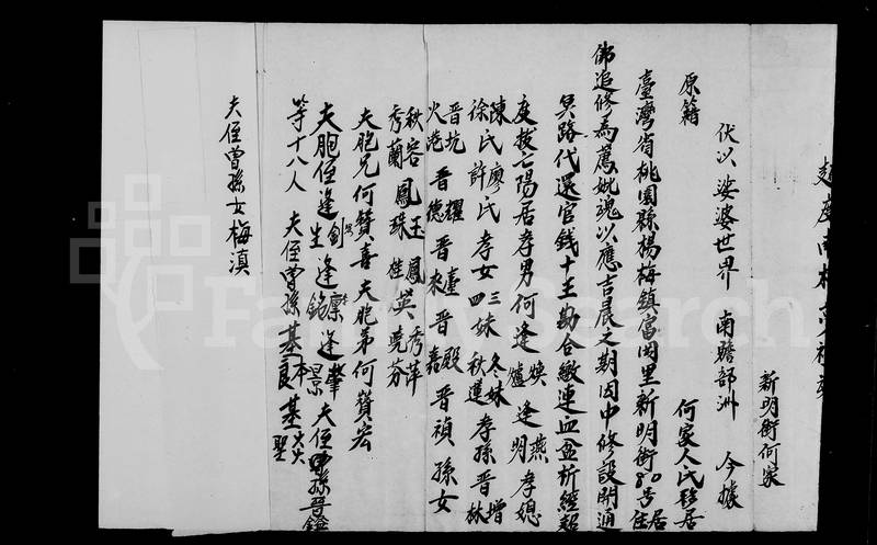 族谱预览