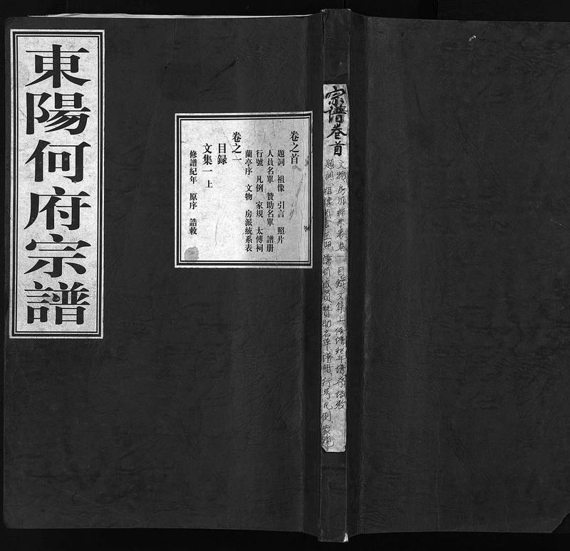 族谱预览