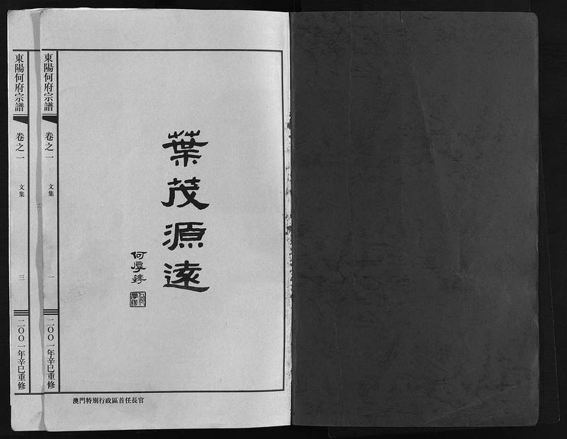 族谱预览