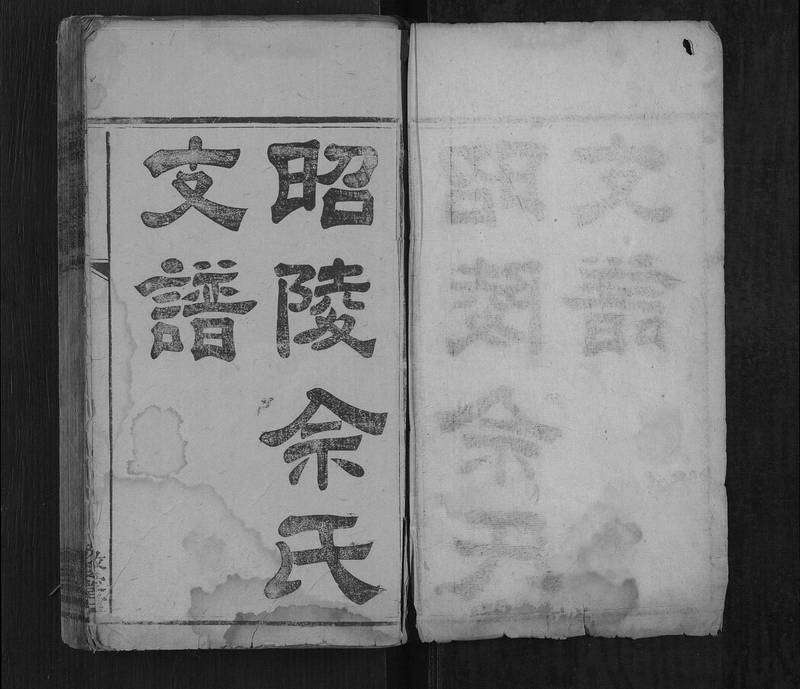 族谱预览