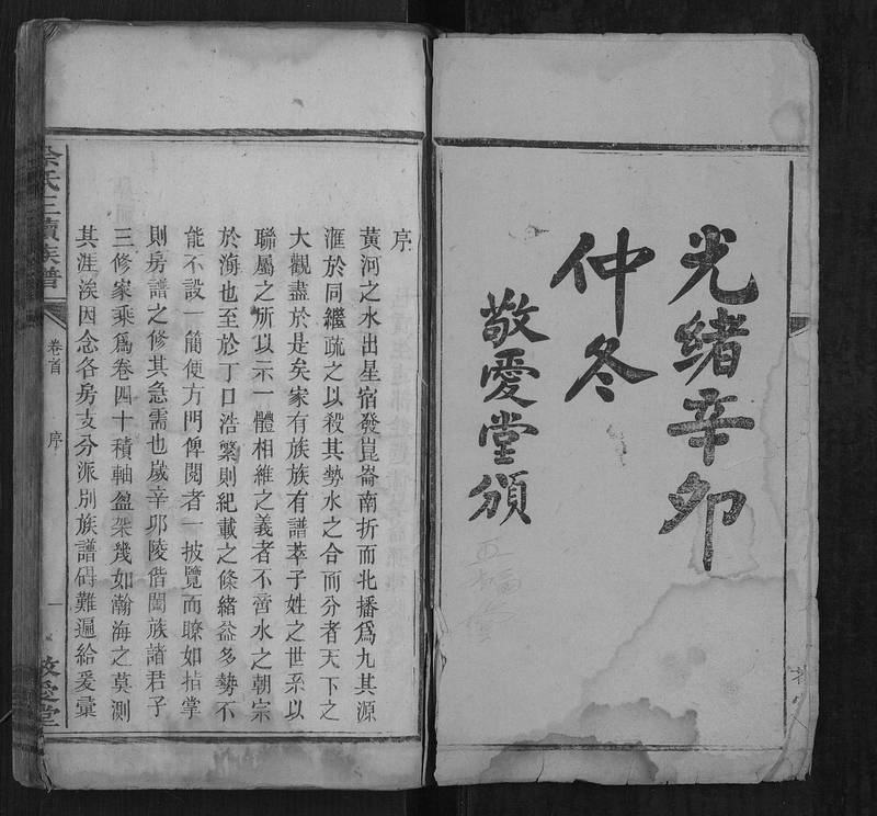 族谱预览