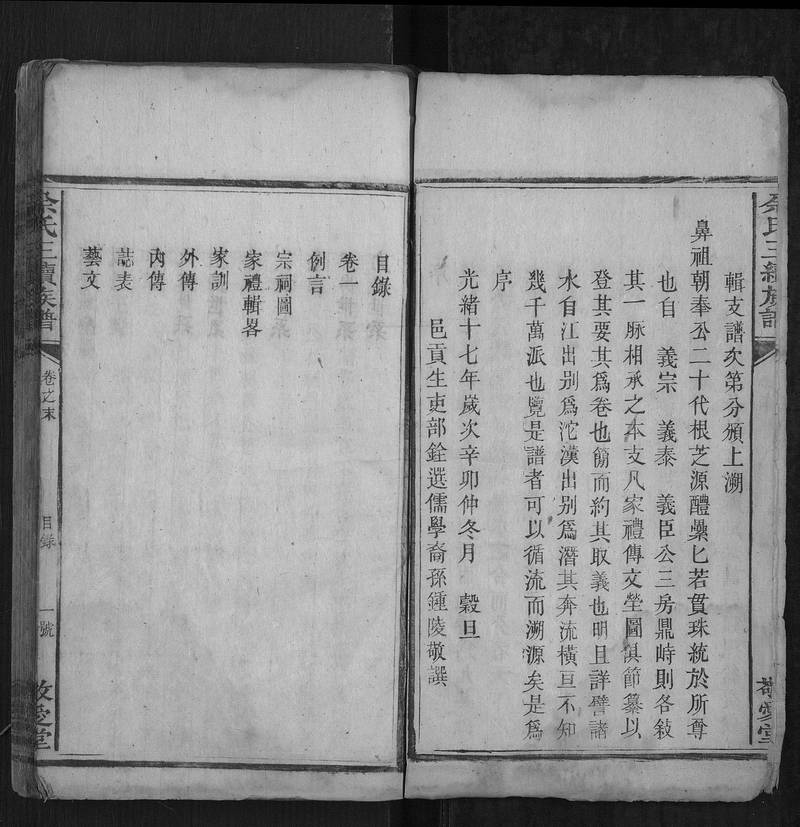 族谱预览