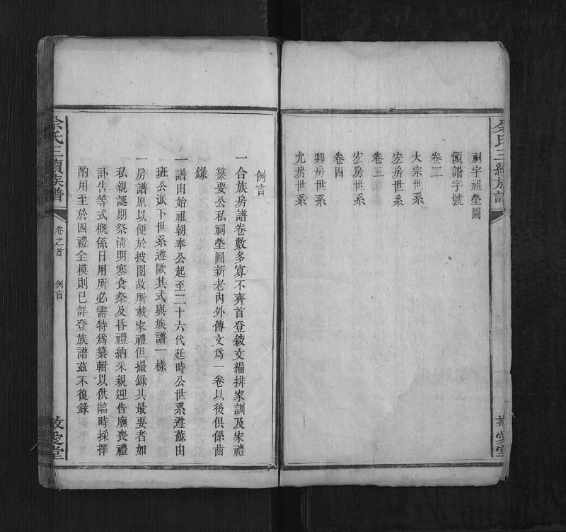 族谱预览