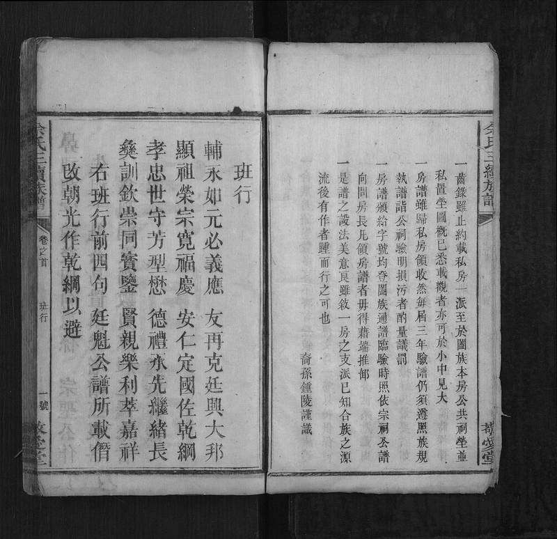 族谱预览