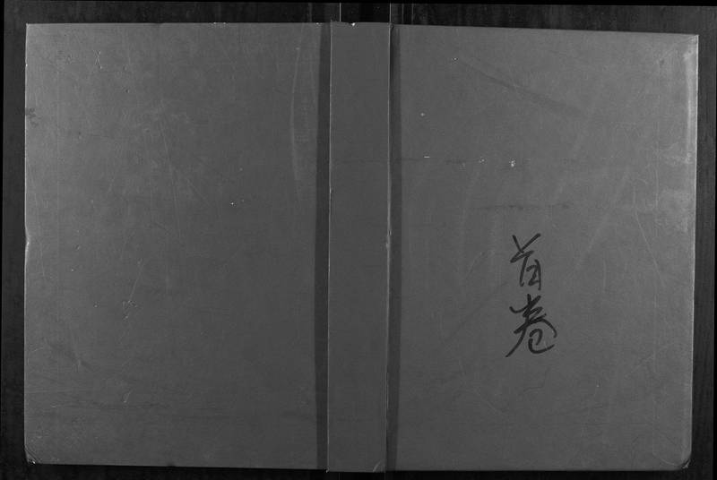 族谱预览