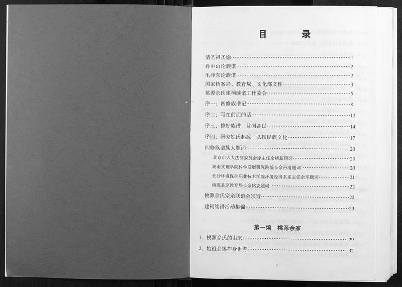 族谱预览
