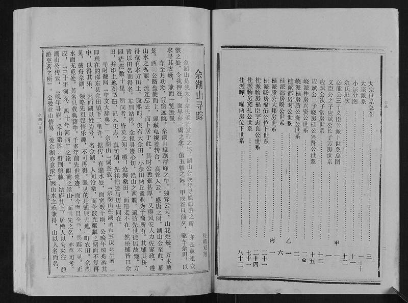 族谱预览