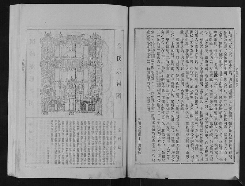 族谱预览